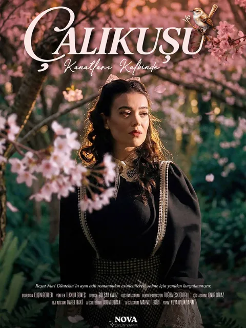 Çalıkuşu - Kanatları Kalbinde afişi