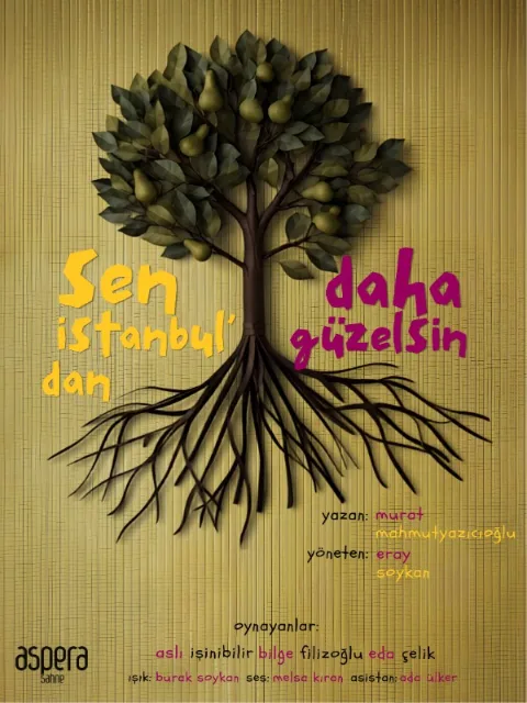 Sen İstanbul'dan Daha Güzelsin afişi
