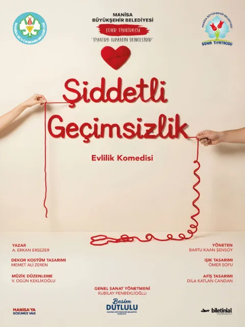 Şiddetli Geçimsizlik afişi