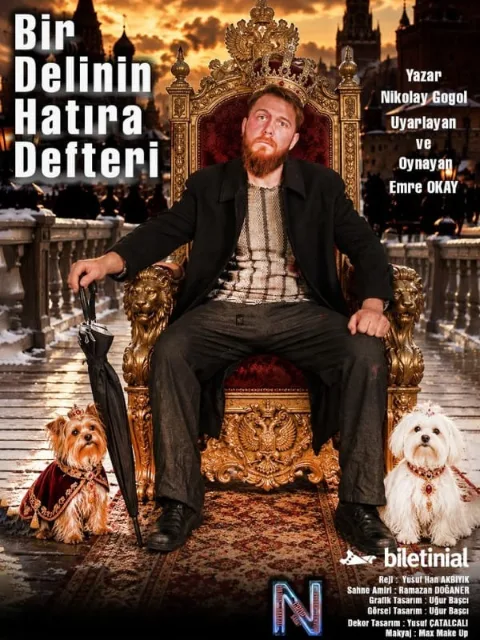 Bir Delinin Hatıra Defteri - Emre Okay afişi