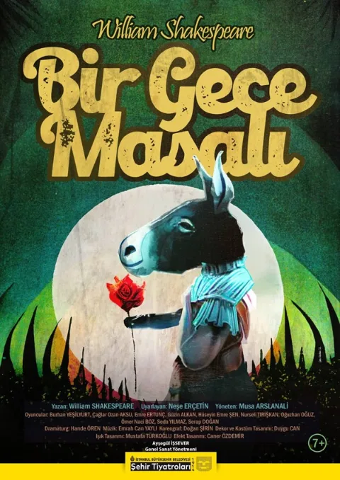 Bir Gece Masalı afişi