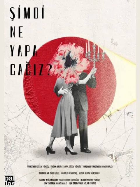 Şimdi Ne Yapacağız? afişi