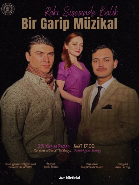 Bir Garip Müzikal afişi