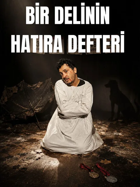 Bir Delinin Hatıra Defteri afişi