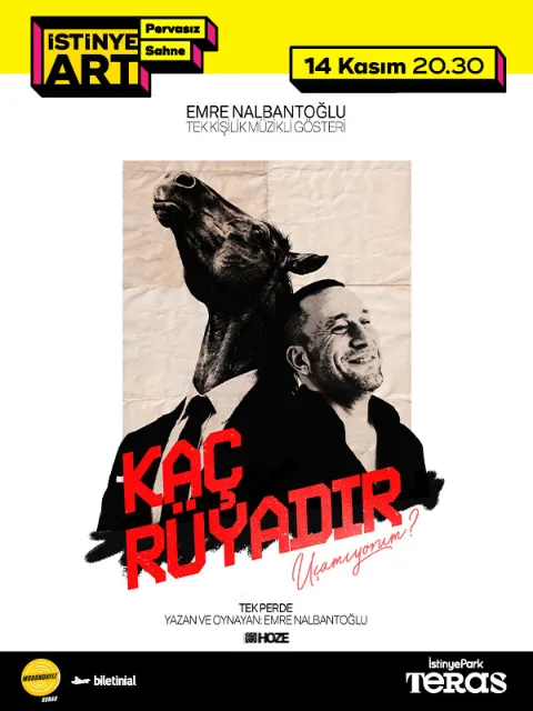 Emre Nalbantoğlu "Kaç Rüyadır Uçamıyorum?" afişi