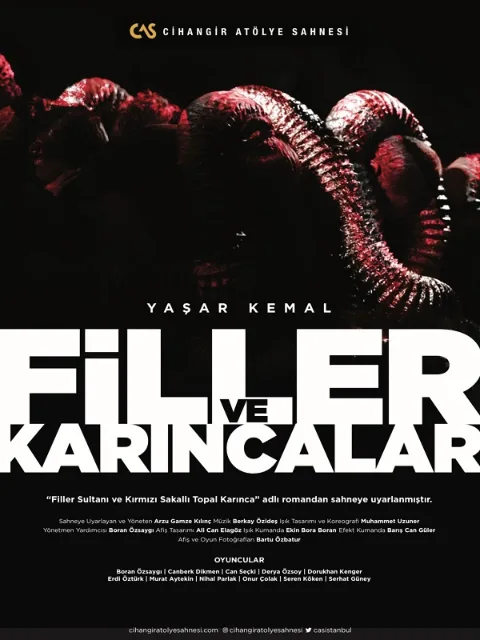 Filler ve Karıncalar afişi